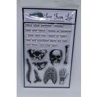 Punny Bones - LFL Stamp Set - October 17